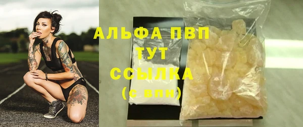 молекула духа Елизово