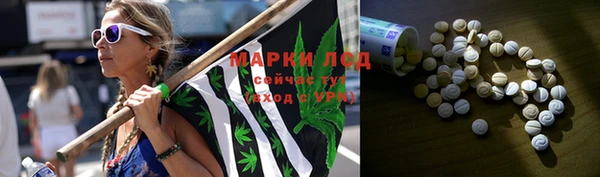 молекула духа Елизово