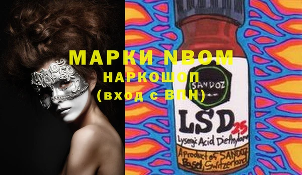 молекула духа Елизово