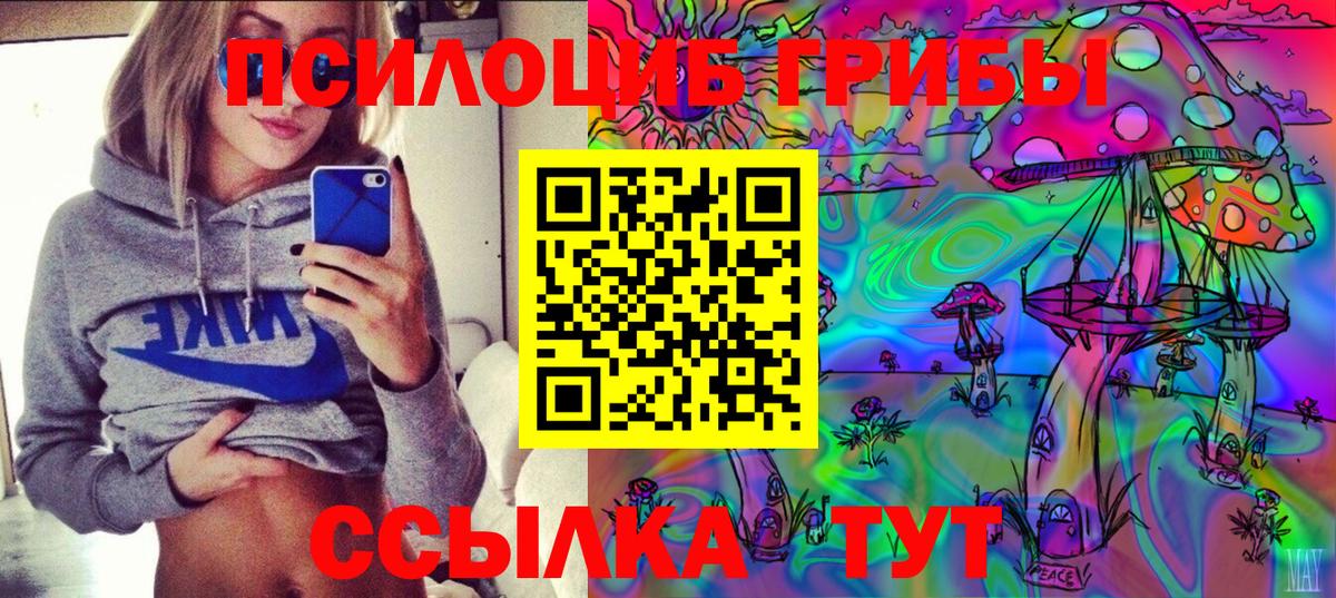 Химки  Псилоцибиновые грибы мухоморы  Вход с VPN  Псилоцибиновые грибы прущие грибы 